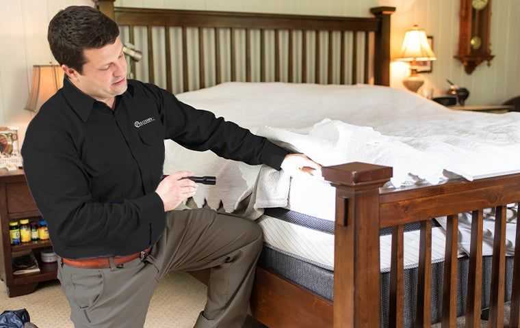 a tech inspecting a bed